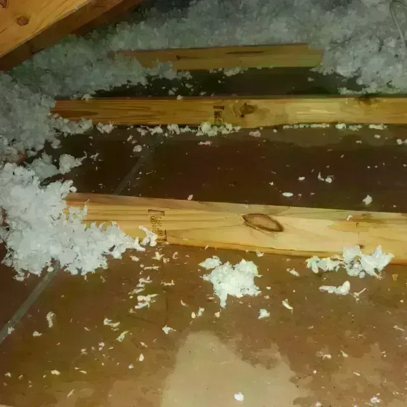 Attic Water Damage in Panorama Village, TX