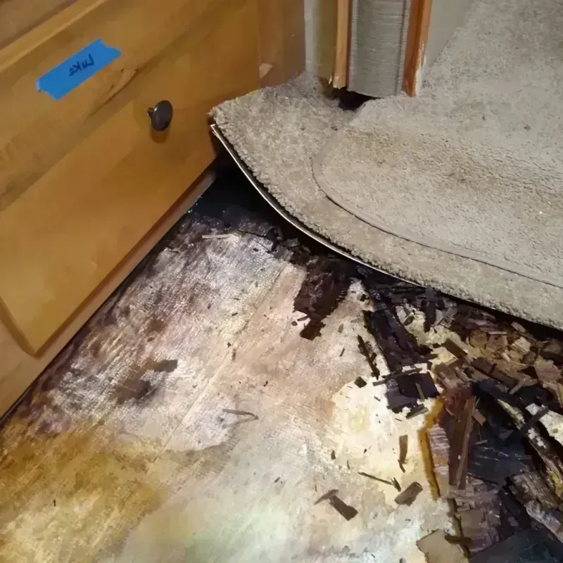 Wood Floor Water Damage in Panorama Village, TX